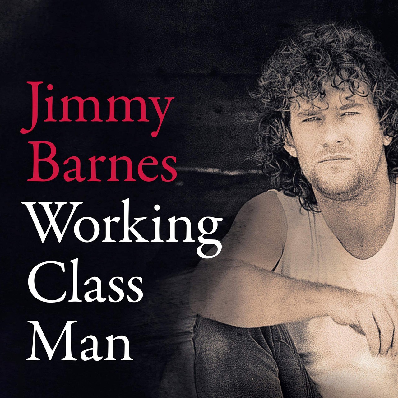 Audiobook cover for Working Class Man