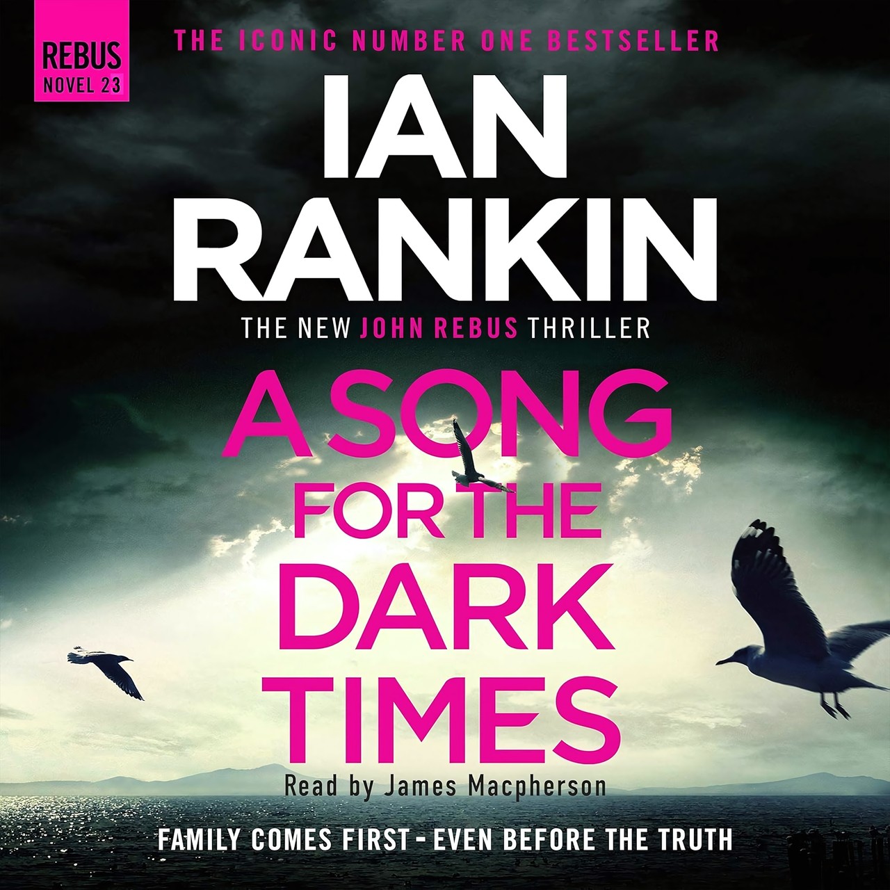 Audiobook cover for A Song for the Dark Times