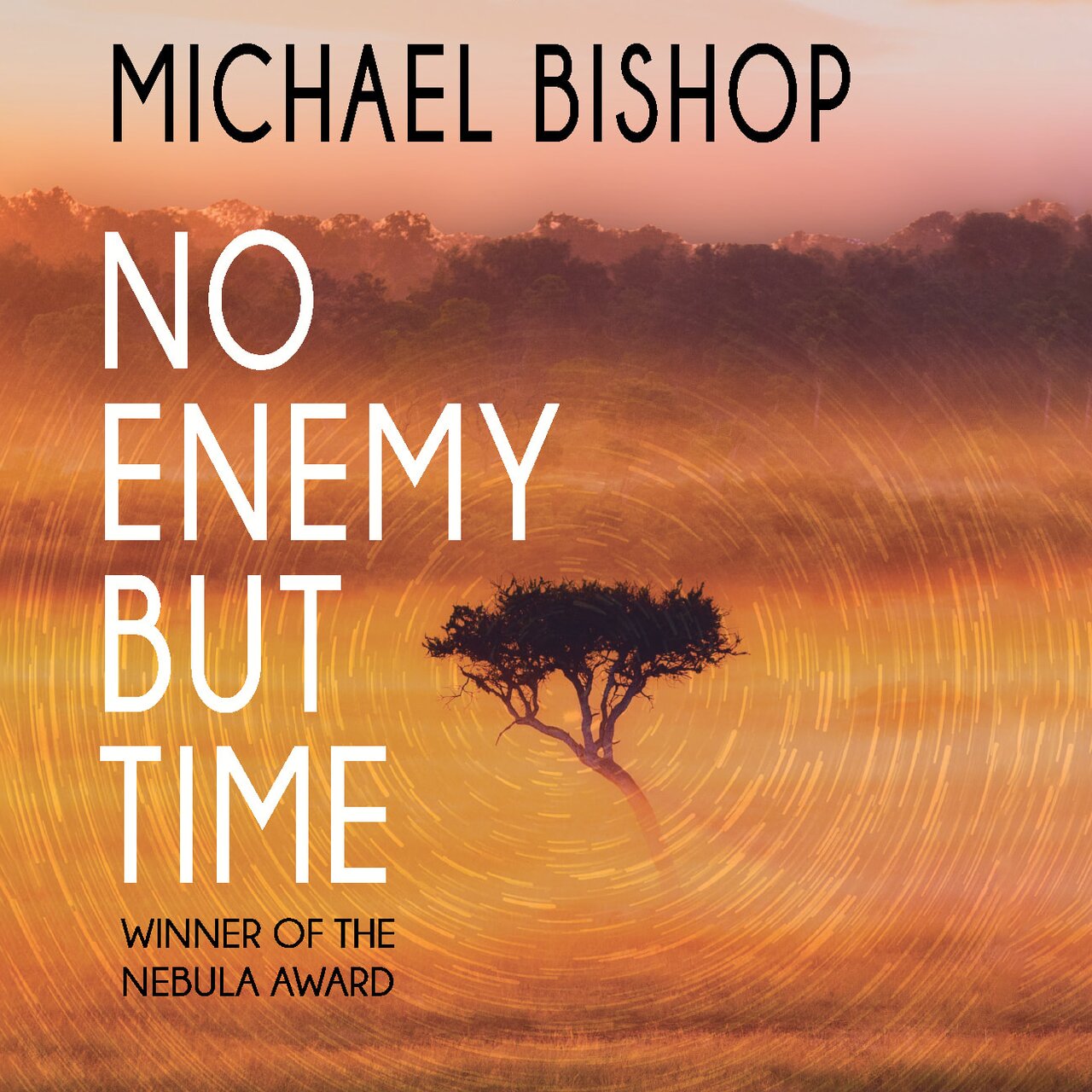 Audiobook cover for No Enemy But Time