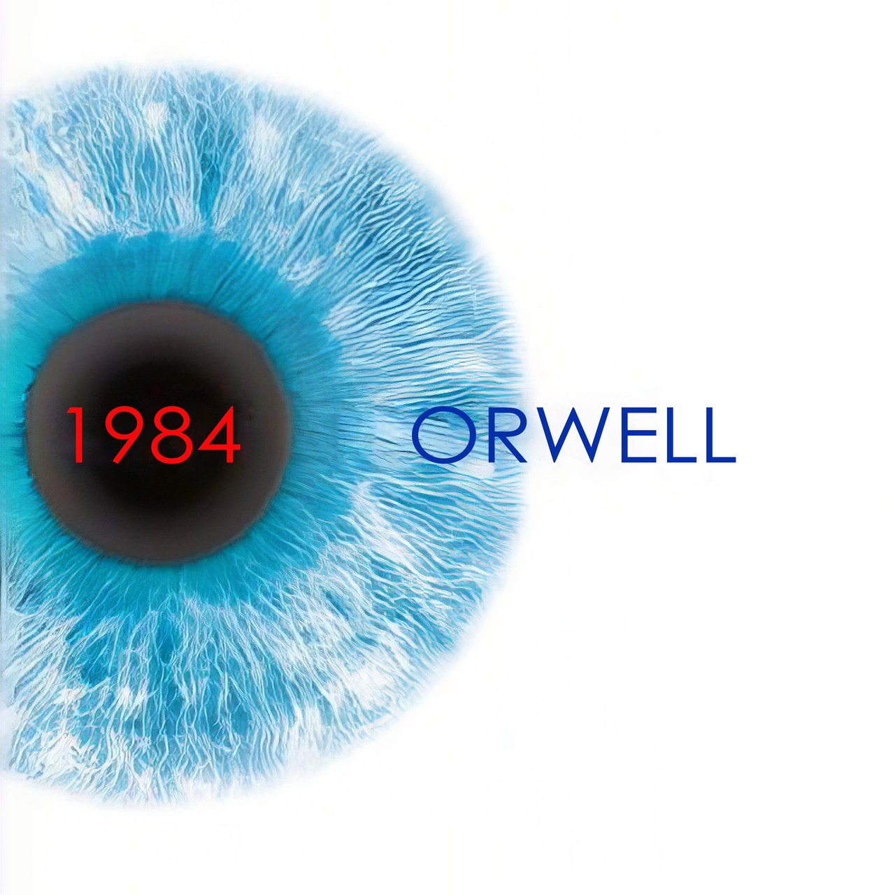 Audiobook cover for Nineteen Eighty-Four