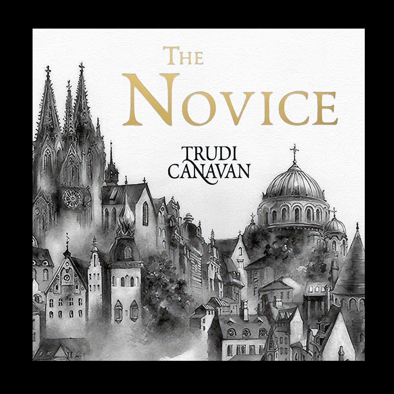 Audiobook cover for The Novice