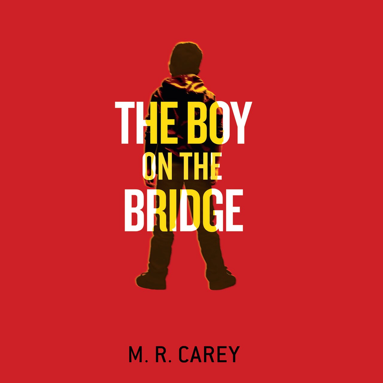 Audiobook cover for The boy on the bridge
