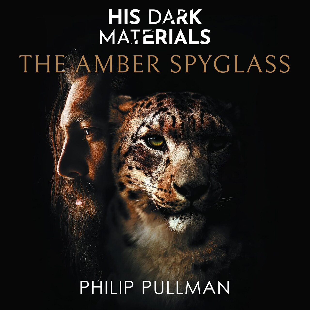 Audiobook cover for The Amber Spyglass