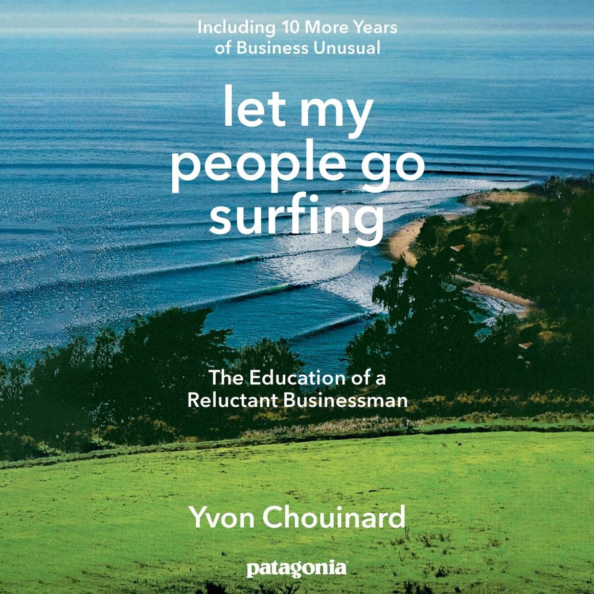 Audiobook cover for Let my people go surfing