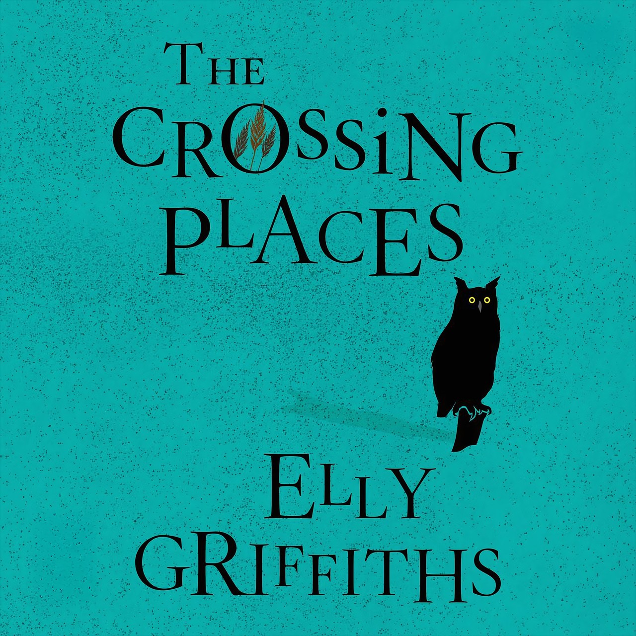 Audiobook cover for Elly Griffiths The Crossing Places
