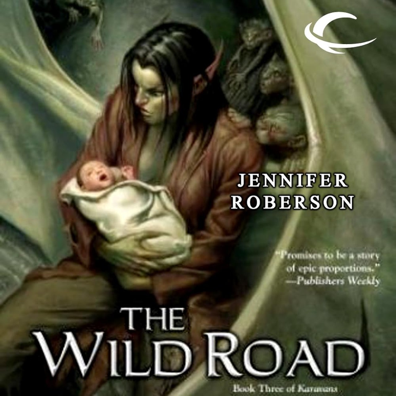 Audiobook cover for The wild road