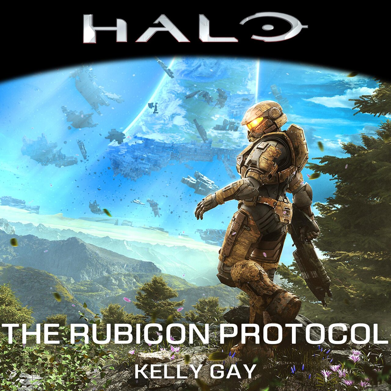 Audiobook cover for Halo