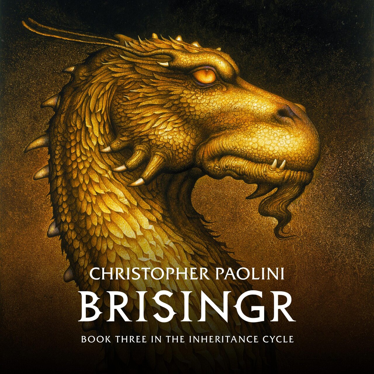 Audiobook cover for Brisingr