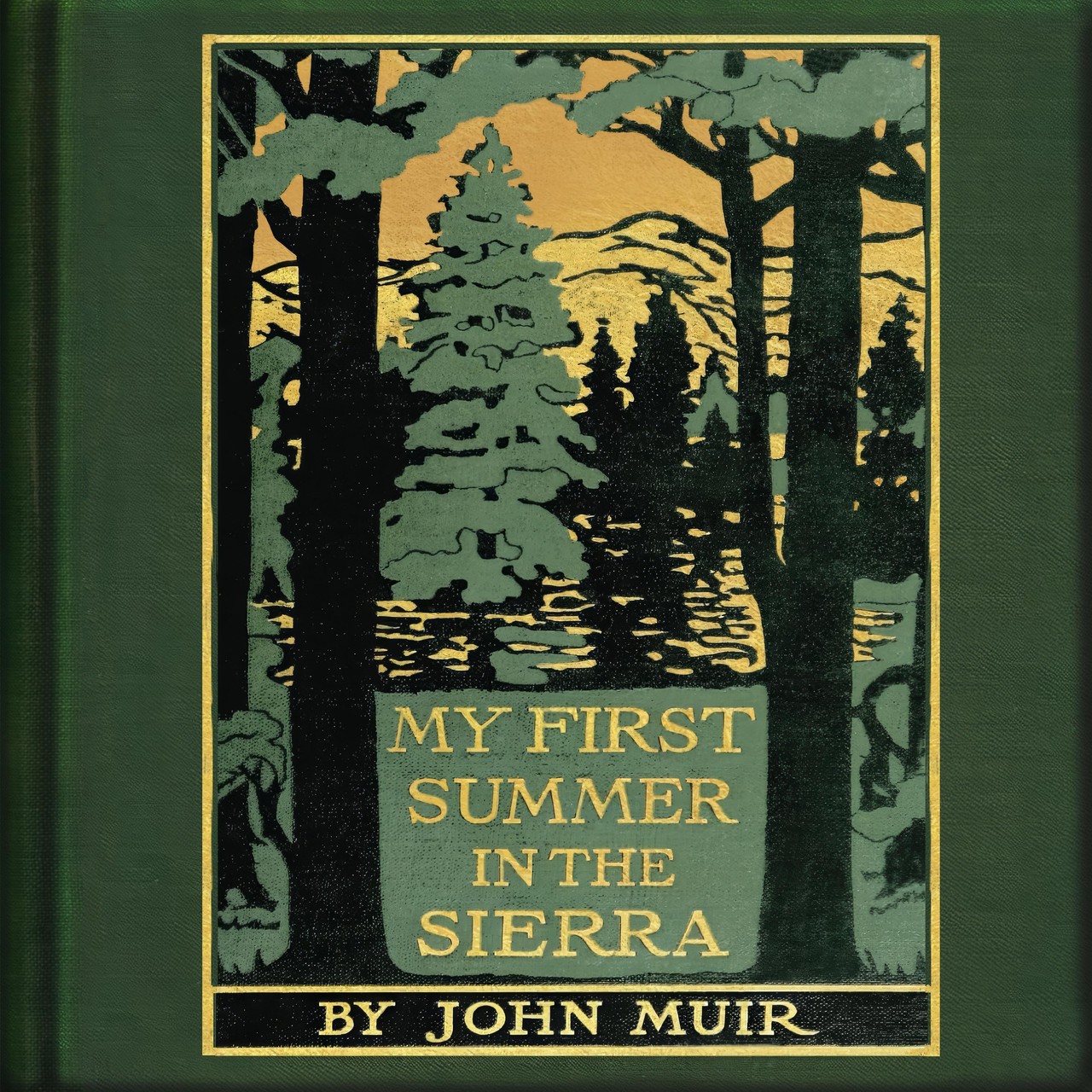 Audiobook cover for My first summer in the Sierra