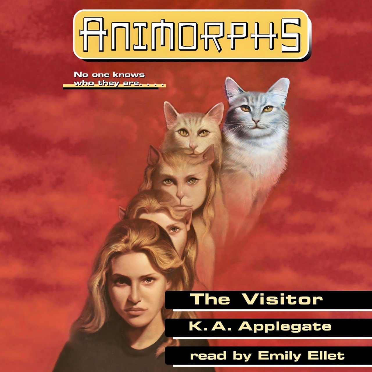 Audiobook cover for The Visitor