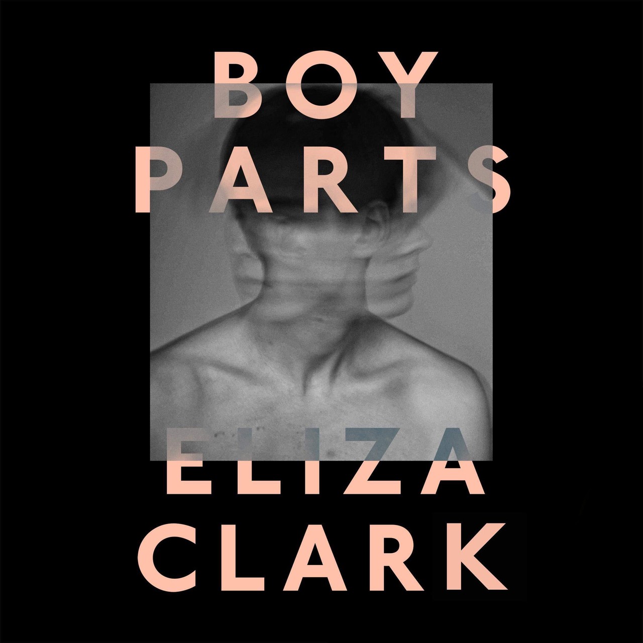 Audiobook cover for Boy Parts