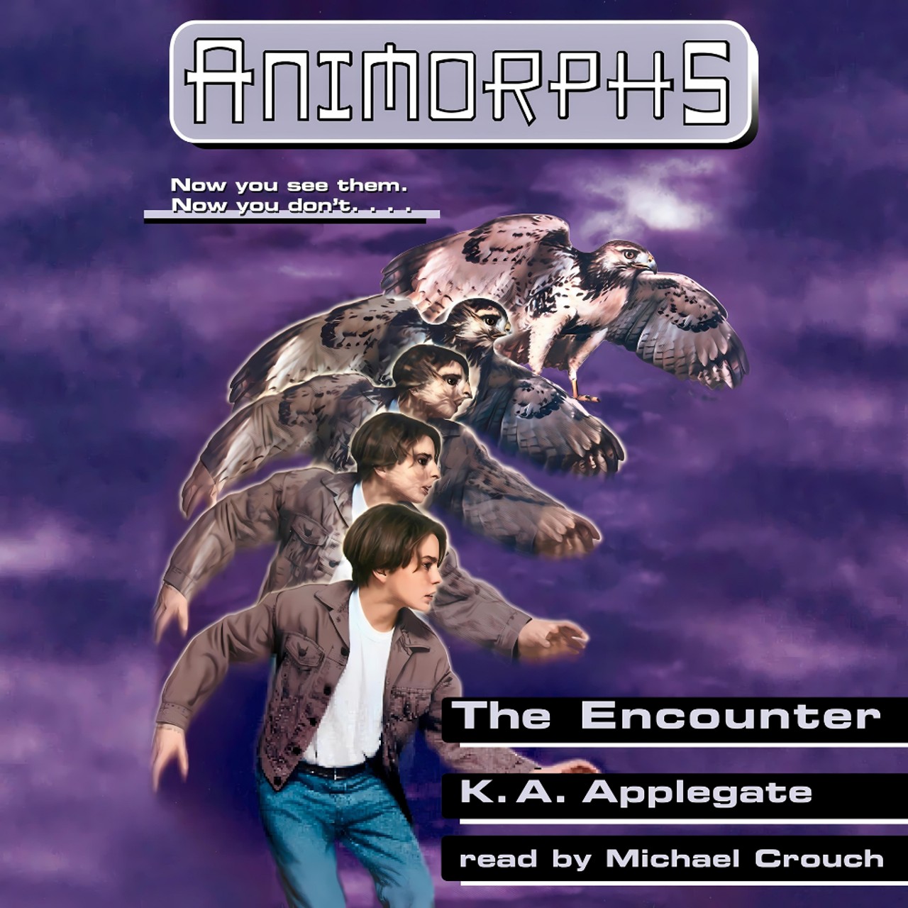 Audiobook cover for The Encounter