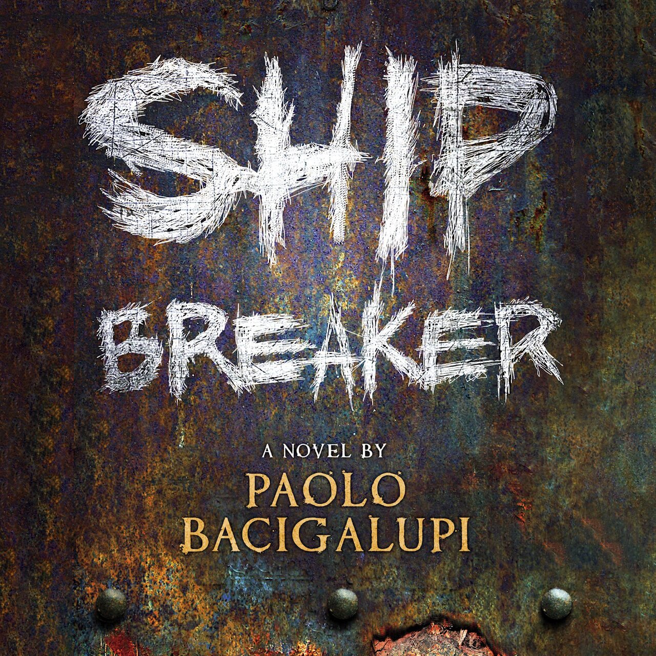 Audiobook cover for Ship breaker: a novel