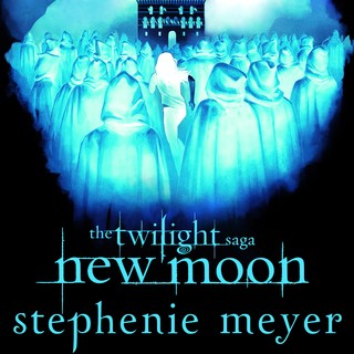 audiobook cover image