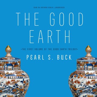 audiobook cover image