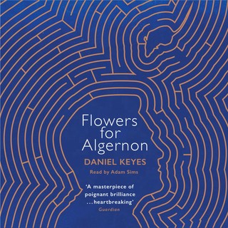 audiobook cover image