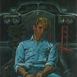 audiobook cover image