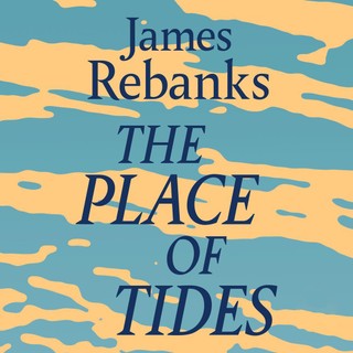 audiobook cover image
