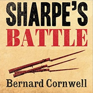 audiobook cover image