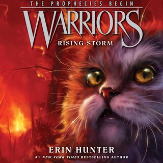 audiobook cover image