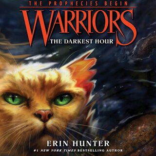 audiobook cover image