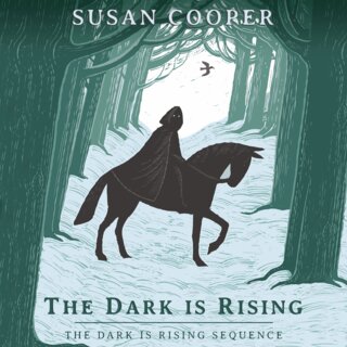 audiobook cover image