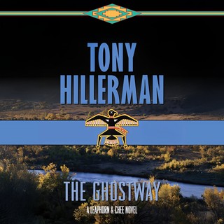 audiobook cover image