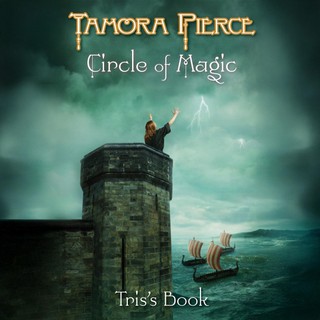 audiobook cover image