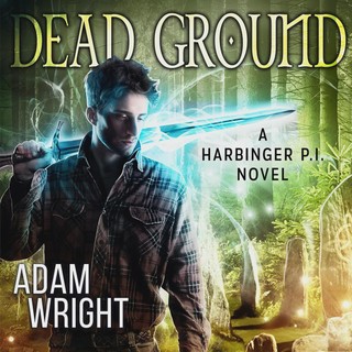 audiobook cover image