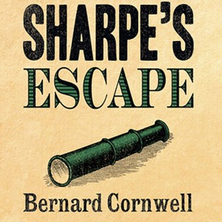 audiobook cover image