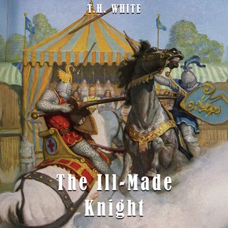 audiobook cover image