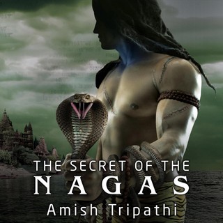 audiobook cover image