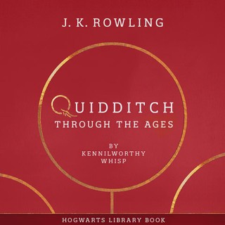 audiobook cover image