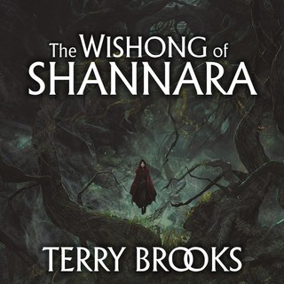 audiobook cover image