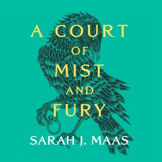 audiobook cover image