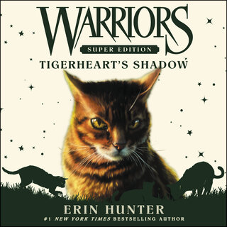 audiobook cover image