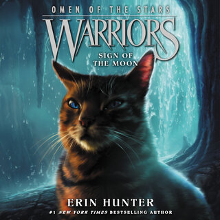 audiobook cover image