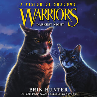 audiobook cover image