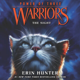 audiobook cover image