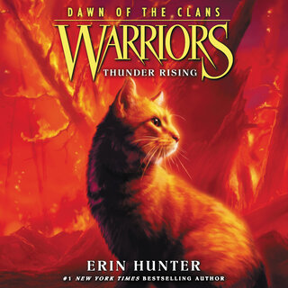 audiobook cover image
