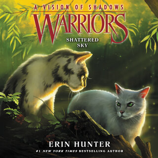 audiobook cover image