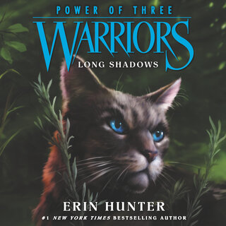 audiobook cover image