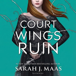 audiobook cover image