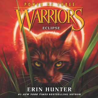 audiobook cover image