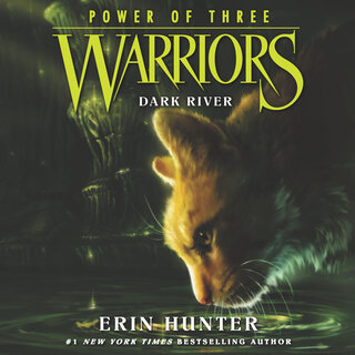 audiobook cover image