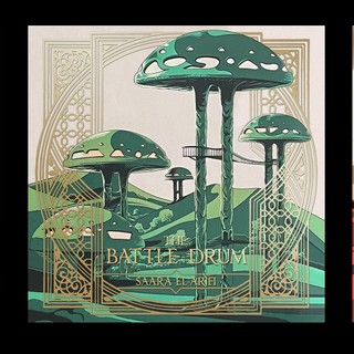 audiobook cover image
