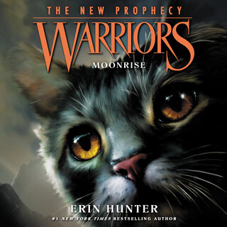 audiobook cover image