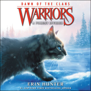 audiobook cover image