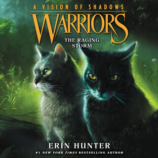 audiobook cover image