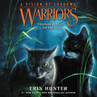 audiobook cover image